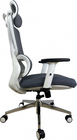 ORDA Napoli WH 821